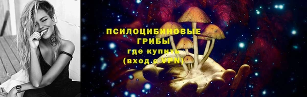 стафф Армянск