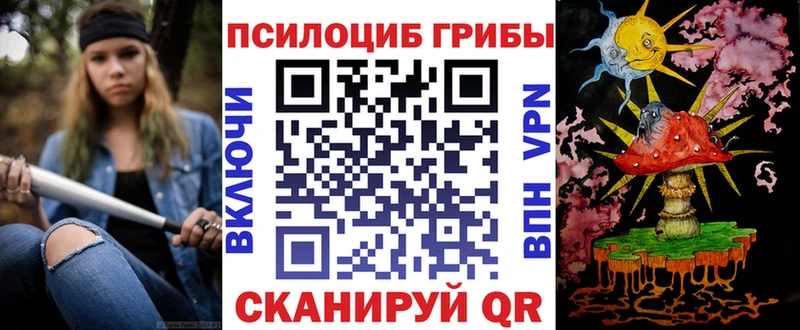Псилоцибиновые грибы Psilocybe  как найти закладки  кракен ТОР  Абакан 